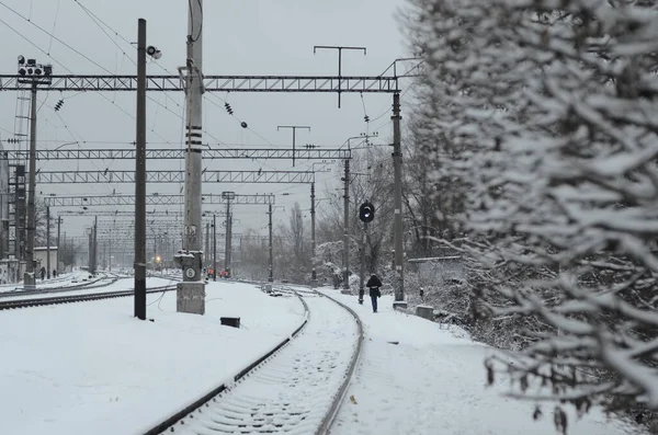 Uitzicht Besneeuwde Spoorweg Scene Met Sporen Bij Schemering — Stockfoto