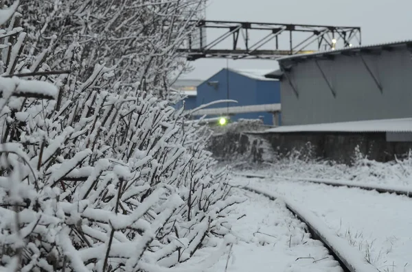 Uitzicht Besneeuwde Spoorweg Scene Met Sporen Bij Schemering — Stockfoto