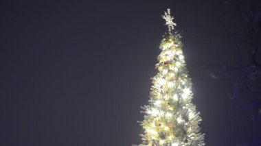 Arka planda gece gökyüzü olan parlak noel ağacı