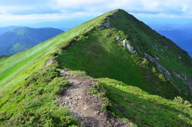 Bereketli yeşillik ile dağlık manzaranın manzarası