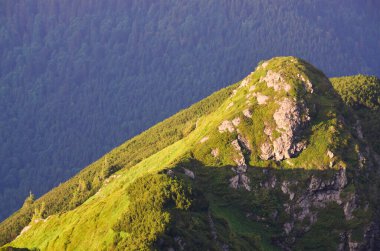 Bereketli yeşillik ile dağlık manzaranın manzarası