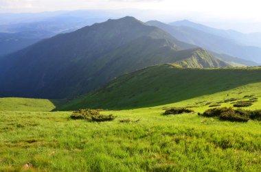Bereketli yeşillik ile dağlık manzaranın manzarası