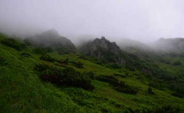 Bereketli yeşillik ile dağlık manzaranın manzarası