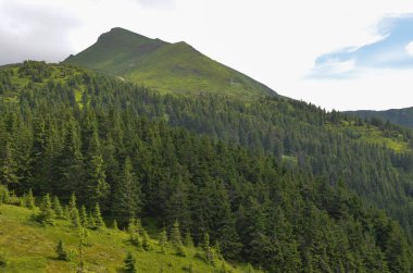 Bereketli yeşillik ile dağlık manzaranın manzarası