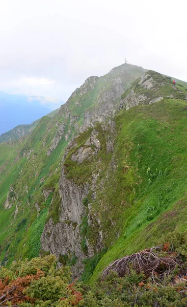 Malebný Pohled Horskou Krajinu Svěží Zelení — Stock fotografie