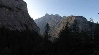 Çam ağaçları olan güzel dağlık manzaranın genel görünümü