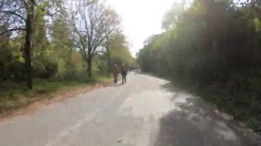 Sunny Park sahnesinde patikalarda ilerlemek, zaman aşımı