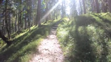 Yeşil çam ormanlarında güneşli yolda ilerliyorlar.