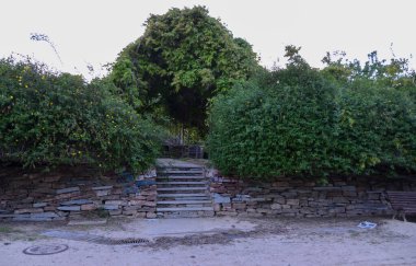 Park girişinin etrafındaki küçük merdivenli yeşil çalılar.