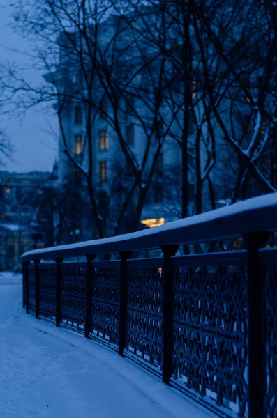 Detalles Del Parque Invierno Con Nieve Kyiv — Foto de Stock