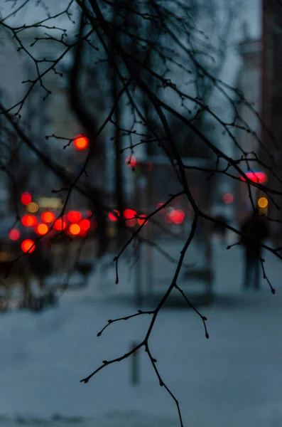 Snowy Kyiv Street Walking Person — Stok fotoğraf