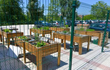 plants in wooden pots behind fence at street