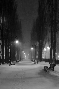 Karlı Kyiv sokağı gece aydınlandı, siyah ve beyaz.