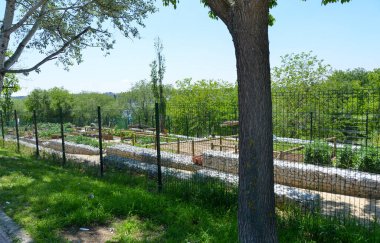 view of sunny garden behind fence