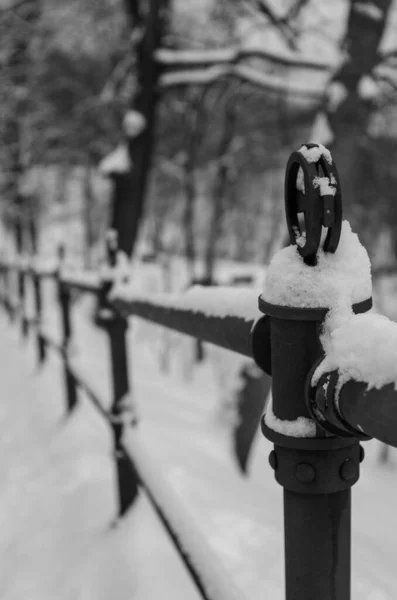 Metal Fence Covered Snow Black White —  Fotos de Stock