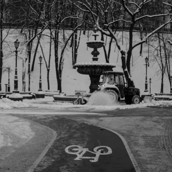 Black White Shot Fountain Snowy Park — Foto Stock