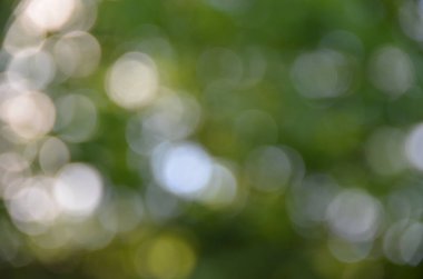 Green Park sahnesinin odaklanmış görüntüsü