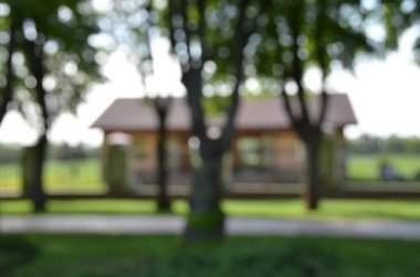 Parlak güneş ışığında sönmüş park sahnesi