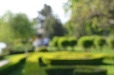 Gün ışığında odağını yitirmiş Kyiv parkı sahnesi