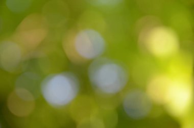 Bulanık doğa görüntüsü, odaklanmamış arkaplan