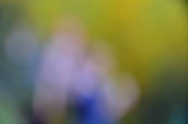 Şehir parkındaki insanların bulanık görüntüsü