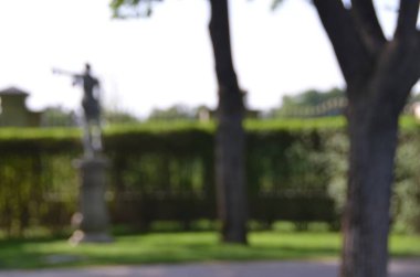 Parlak güneş ışığında sönmüş park sahnesi