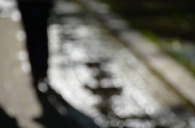 Gün ışığında odağını yitirmiş Kyiv parkı sahnesi