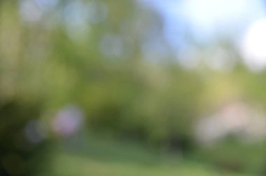 Green Park sahnesinin odaklanmış görüntüsü