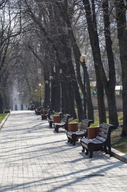 benches in sunny park scene, kyiv, ukraine