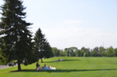 Parlak güneş ışığında sönmüş park sahnesi