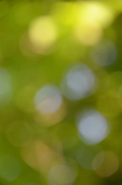 Bulanık doğa görüntüsü, odaklanmamış arkaplan