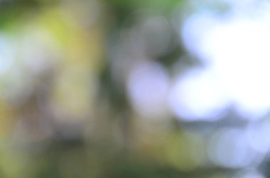 Bulanık doğa görüntüsü, odaklanmamış arkaplan