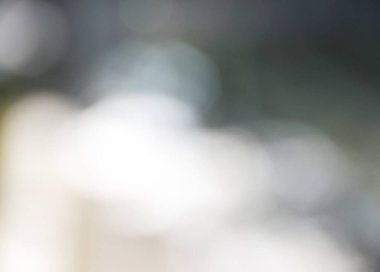 Gün ışığında odağını yitirmiş Kyiv parkı sahnesi