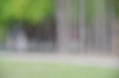 Odaklanamayan Kyiv parkı yeşil sahne