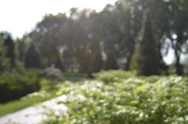 Gün ışığında odağını yitirmiş Kyiv parkı sahnesi