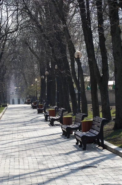 Bănci Scena Parcului Însorit Kyiv Ukraine — Fotografie, imagine de stoc