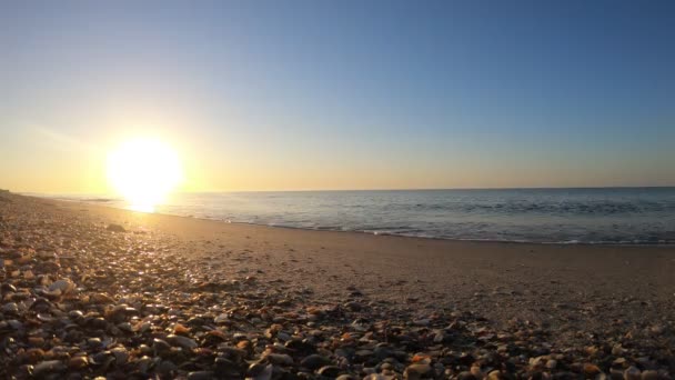 Time Lapse Filmato Del Tramonto Spiaggia Persone Piedi — Video Stock