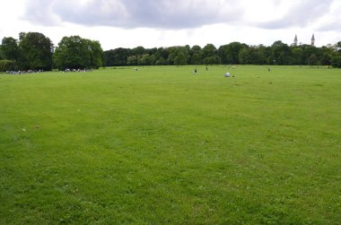 green lawn in park with resting people