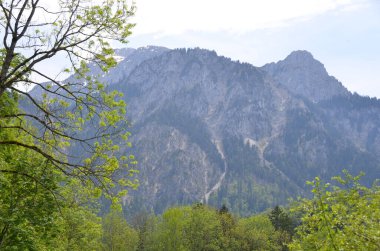 Güzel dağ manzarası, doğal duvar kağıdı.
