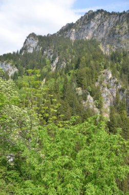 Doğal manzara, güzel dağ manzarası.