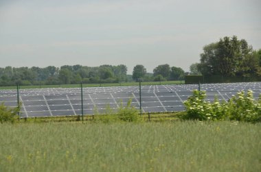Çitin arkasındaki yeşil alanda güneş panelleri