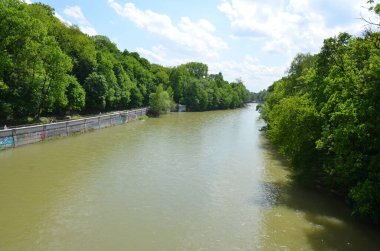 view of river with green trees in sunlight