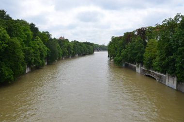 view of river surrounded with green trees