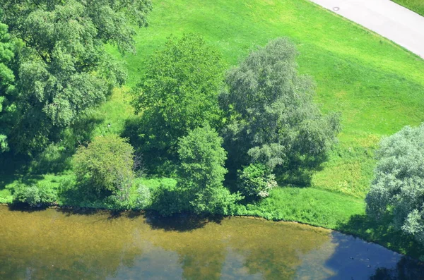 Vista Elevada Vegetação Parque Berlin — Fotografia de Stock