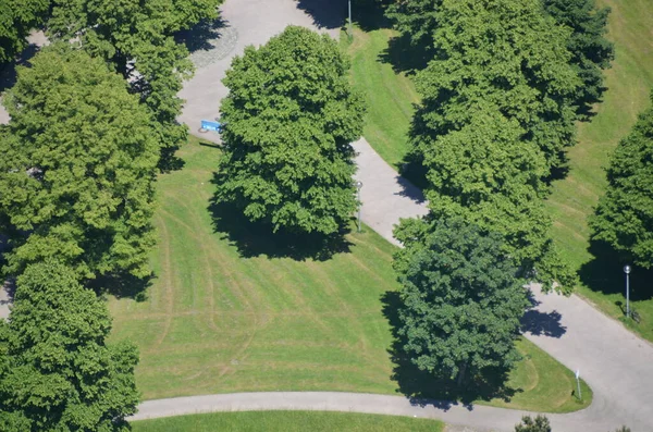 Vista Elevada Vegetação Parque Berlin — Fotografia de Stock