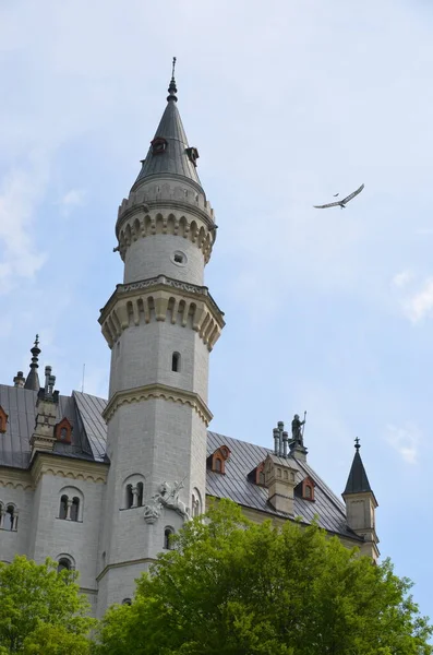 Vista Edifício Velho Castelo Vegetação Alemanha — Fotografia de Stock