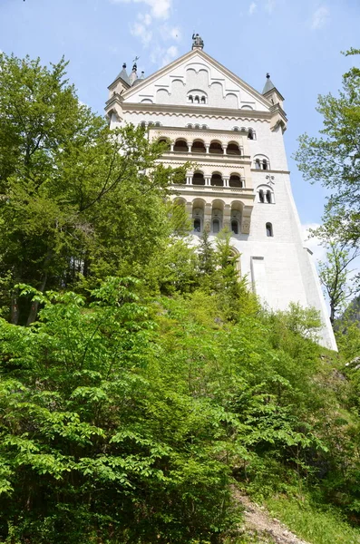 Vista Del Antiguo Edificio Del Castillo Vegetación Alemania — Foto de Stock