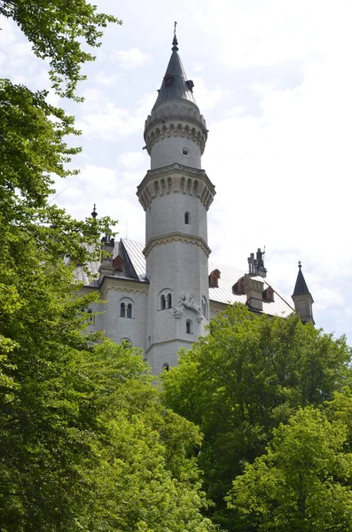 View Old Castle Building Greenery Germany — Stock Photo, Image