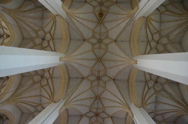 Low Angle View Cathedral Corridor Ceiling — Fotografia de Stock