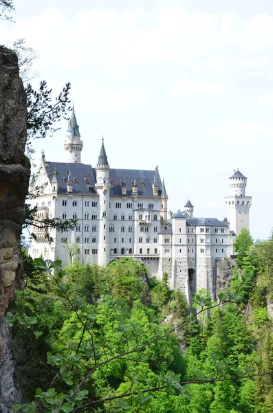 Vista Edifício Velho Castelo Vegetação Alemanha — Fotografia de Stock